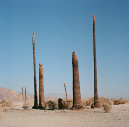 allcitiesarebeautiful.com