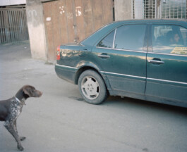 allcitiesarebeautiful.com