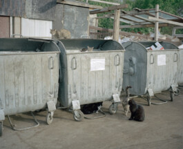 allcitiesarebeautiful.com