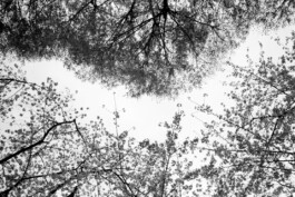allcitiesarebeautiful.com
