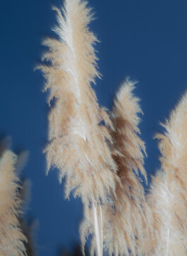 allcitiesarebeautiful.com