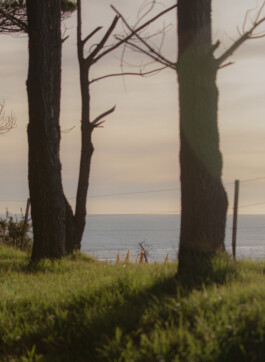 allcitiesarebeautiful.com