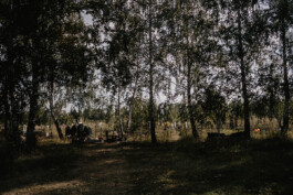 allcitiesarebeautiful.com