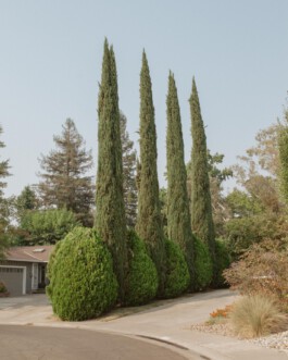 allcitiesarebeautiful.com
