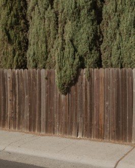 allcitiesarebeautiful.com