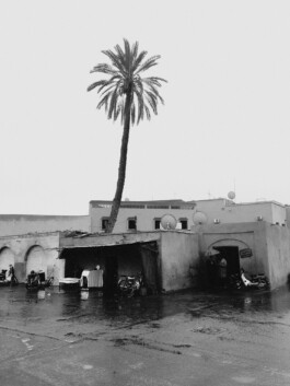 allcitiesarebeautiful.com