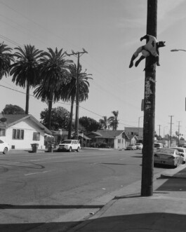 allcitiesarebeautiful.com