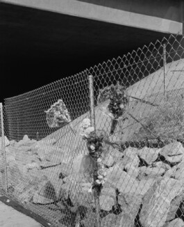 allcitiesarebeautiful.com