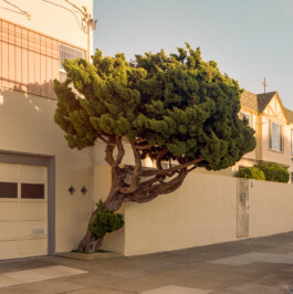 allcitiesarebeautiful.com