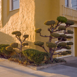 allcitiesarebeautiful.com