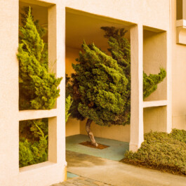 allcitiesarebeautiful.com