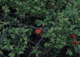 allcitiesarebeautiful.com