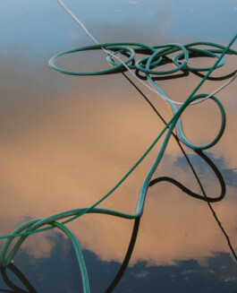 allcitiesarebeautiful.com