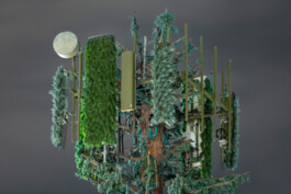 allcitiesarebeautiful.com