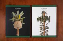 allcitiesarebeautiful.com