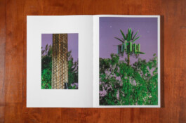 allcitiesarebeautiful.com