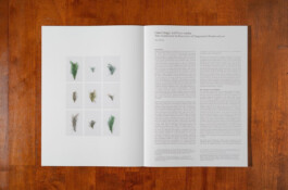 allcitiesarebeautiful.com