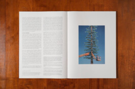 allcitiesarebeautiful.com