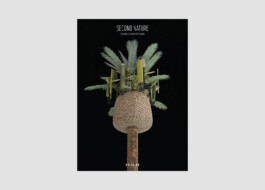 allcitiesarebeautiful.com