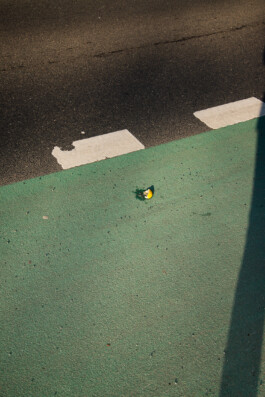 allcitiesarebeautiful.com