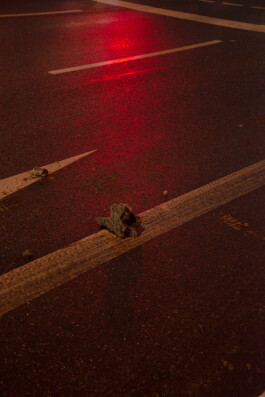 allcitiesarebeautiful.com