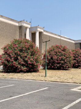 allcitiesarebeautiful.com