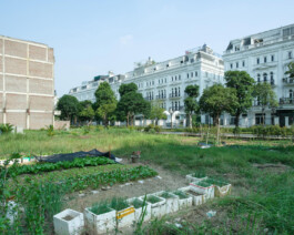 allcitiesarebeautiful.com