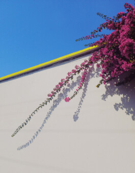 allcitiesarebeautiful.com