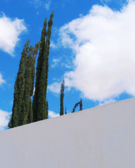 allcitiesarebeautiful.com