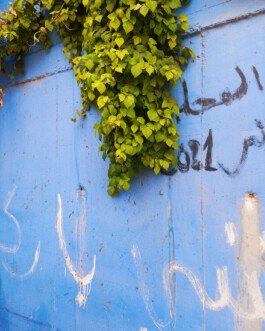 allcitiesarebeautiful.com