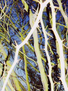 allcitiesarebeautiful.com