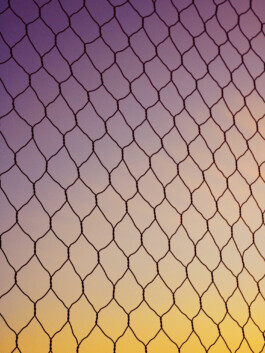 allcitiesarebeautiful.com