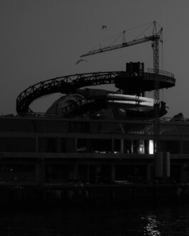 Kamil Salanyk, Rotterdam, Netherlands, allcitiesarebeautiful.com