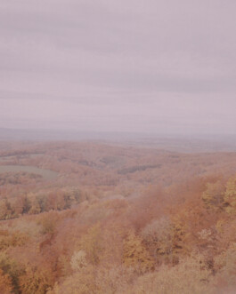 allcitiesarebeautiful.com