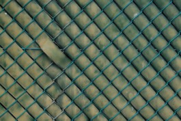 Taizo Nomura, Singapore, allcitiesarebeautiful.com