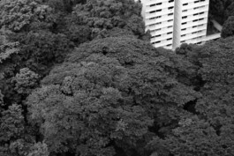 allcitiesarebeautiful.com