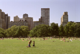 allcitiesarebeautiful.com