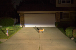 allcitiesarebeautiful.com