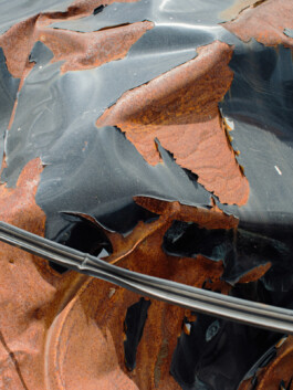 allcitiesarebeautiful.com