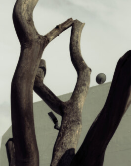 allcitiesarebeautiful.com