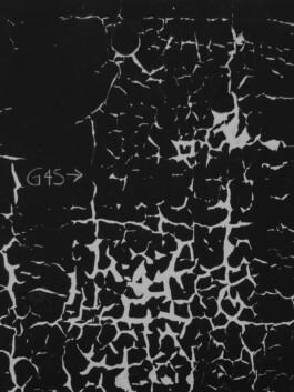 allcitiesarebeautiful.com