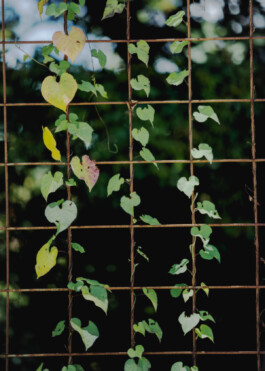 allcitiesarebeautiful.com