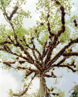 allcitiesarebeautiful.com