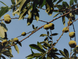 allcitiesarebeautiful.com