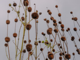 allcitiesarebeautiful.com