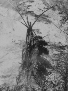 allcitiesarebeautiful.com