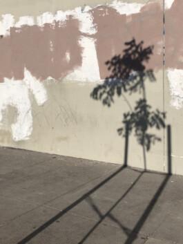 allcitiesarebeautiful.com