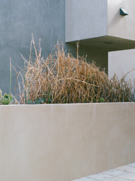 allcitiesarebeautiful.com