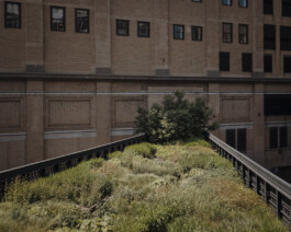 allcitiesarebeautiful.com