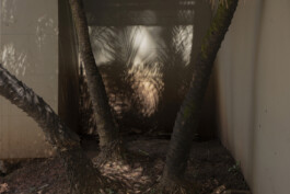 allcitiesarebeautiful.com